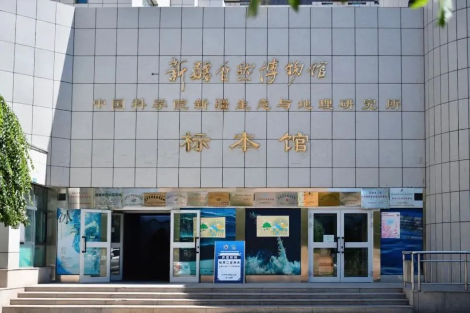 前锋如何通过专项训练提升投篮命中率_2